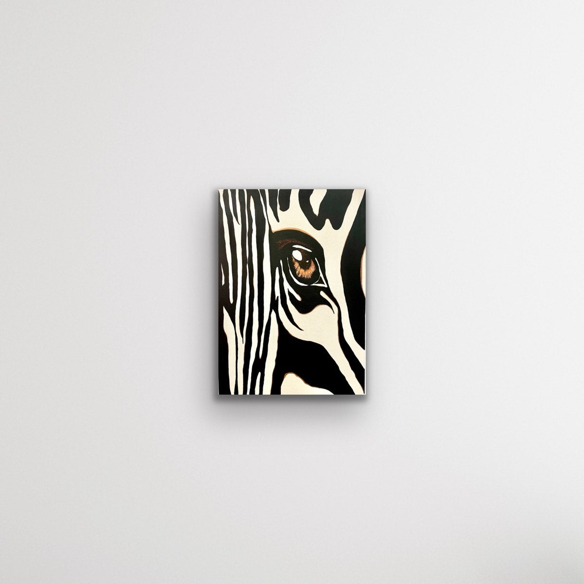 o olhar de zebra