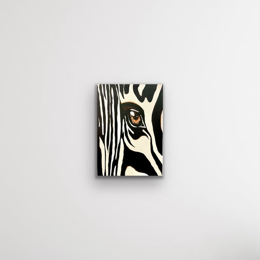 o olhar de zebra