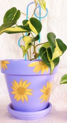 VASO GIRASSOL