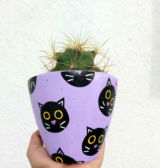 VASO GATO